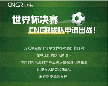 世界杯決賽 | CNGR戰(zhàn)隊(duì)申請(qǐng)出戰(zhàn)！